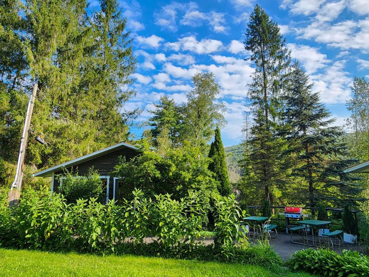 Belleayre Lodge Pine Hill Buitenkant foto