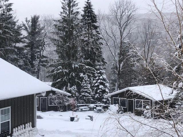 Belleayre Lodge Pine Hill Buitenkant foto